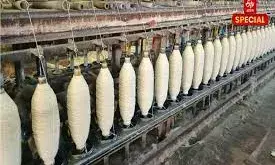 भीलवाड़ा बीकानेर  मंडी पर टैरिफ की मार: वूलन उद्योग तबाही के कगार पर