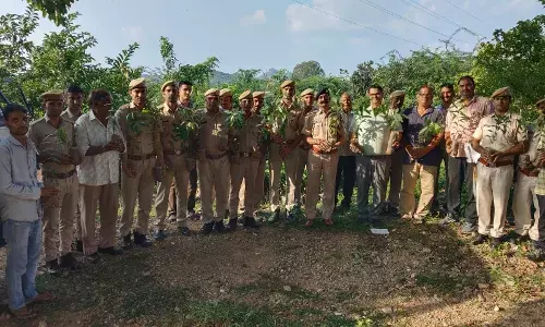 सृजन की सुरक्षा योजना’ के तहत चीरवा में 2000 पौधे लगाए