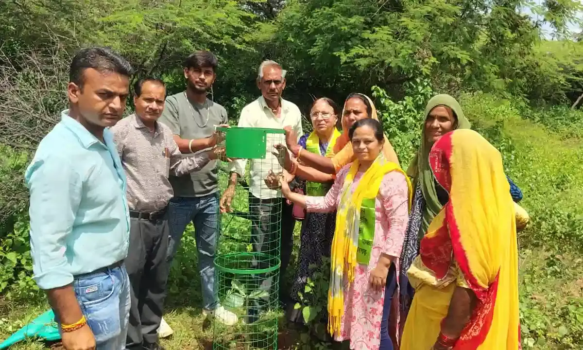 हमीरगढ़ इको पार्क में पेड़ पितरों के नाम अभियान के तहत वृक्षारोपण