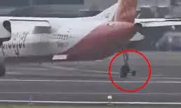 “स्पाइसजेट विमान का पहिया उड़ान के बाद टूटा, मुंबई एयरपोर्ट पर इमरजेंसी लैंडिंग; सभी यात्री सुरक्षित” “स्पाइसजेट विमान का पहिया उड़ान के बाद टूटा, मुंबई एयरपोर्ट पर इमरजेंसी लैंडिंग; सभी यात्री सुरक्षित”