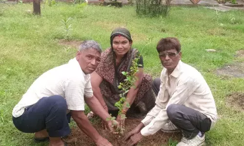 गंगापुर के मोक्ष धाम में स्वयंसेवी ने लगाए 500 से अधिक पौधे