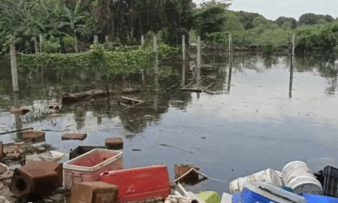 कांग्रेस का आक्रामक आंदोलन, भाजपा की पलटवार रणनीति