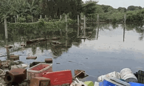 कांग्रेस का आक्रामक आंदोलन, भाजपा की पलटवार रणनीति