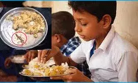 डाईखेड़ा स्कूल के मिड-डे मील में छिपकली मिलने से मचा हड़कंप, 40 बच्चे बीमार