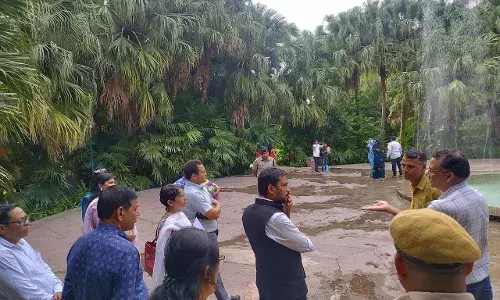 जिला कलेक्टर ने किया सहेलियों की बाड़ी का अवलोकन