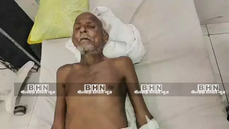 आलमास में बुजुर्ग पर सियार का हमला, ग्रामीणों ने बचाई जान