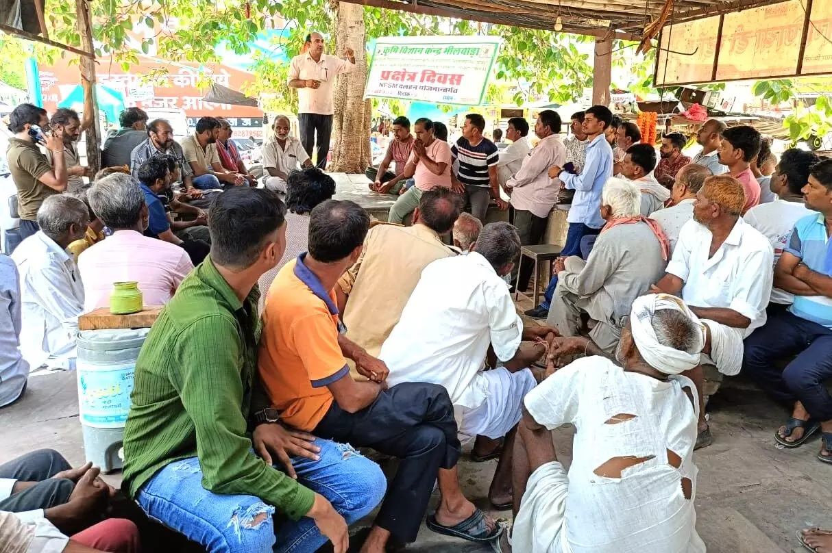 उड़द फसल पर प्रक्षेत्र दिवस का आयोजन