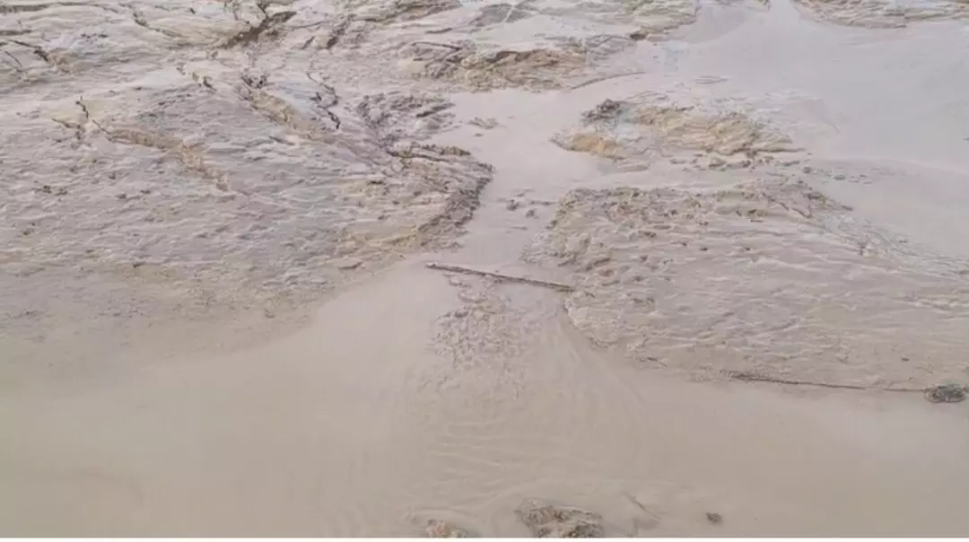 अरवड बांध की पाल जर्जर, नहरों में अतिक्रमण और कंट्रोलरूम क्षतिग्रस्त, प्रशासन से सुरक्षा व मरम्मत की मांग अरवड बांध की पाल जर्जर, नहरों में अतिक्रमण और कंट्रोलरूम क्षतिग्रस्त, प्रशासन से सुरक्षा व मरम्मत की मांग