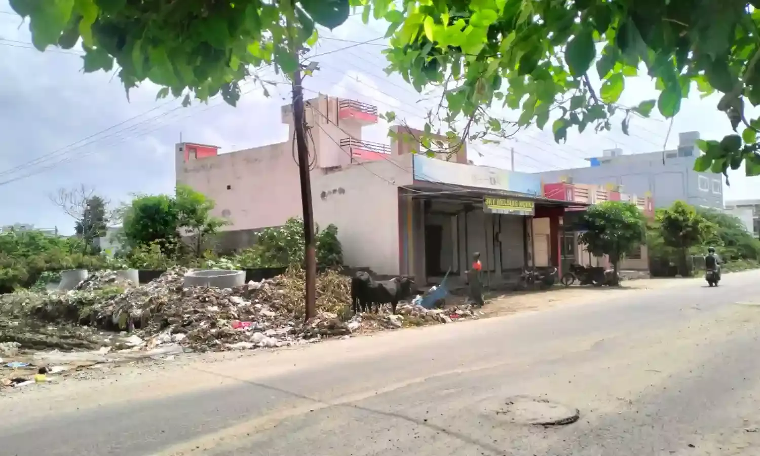 सड़क एवं सफाई समस्याओं पर नगर न‍िगम से शीघ्र कार्रवाई की मांग