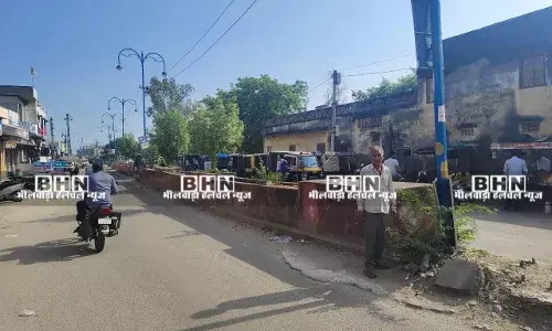 मांडल में डिवाइडरों पर अंग्रेजी कंटीली झाड़ियों का डेरा, सौंदर्यीकरण पर सवाल मांडल में डिवाइडरों पर अंग्रेजी कंटीली झाड़ियों का डेरा, सौंदर्यीकरण पर सवाल