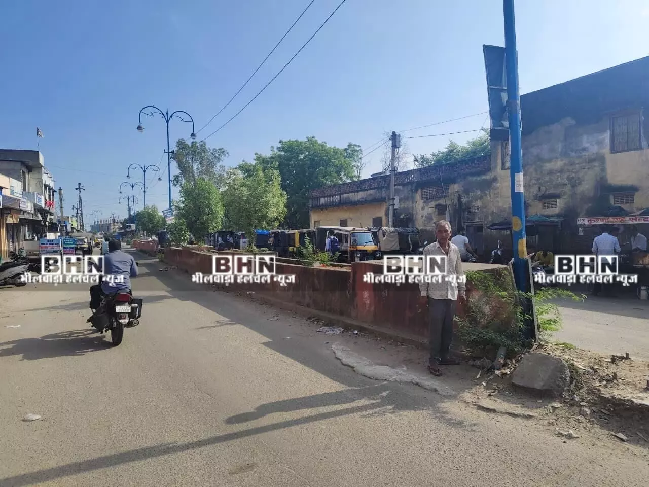 मांडल में डिवाइडरों पर अंग्रेजी कंटीली झाड़ियों का डेरा, सौंदर्यीकरण पर सवाल मांडल में डिवाइडरों पर अंग्रेजी कंटीली झाड़ियों का डेरा, सौंदर्यीकरण पर सवाल