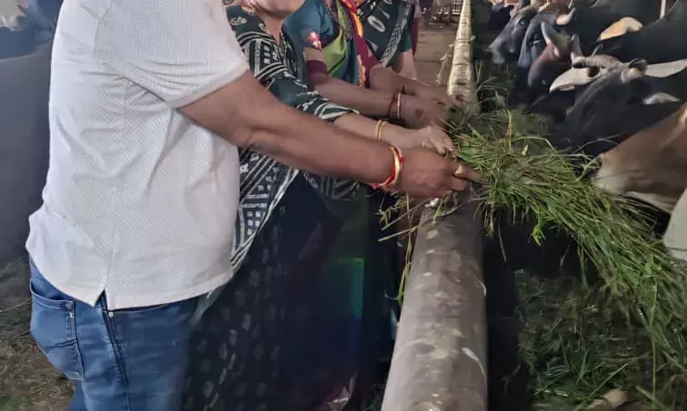 गौशाला में गौ सेवा एवं पूजन, सोमवार को शोभा यात्रा के साथ समापन