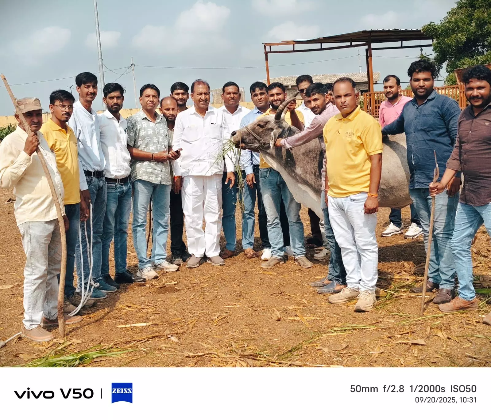 गौशाला में एकदिवसीय पशु चिकित्सा शिविर का सफल आयोजन