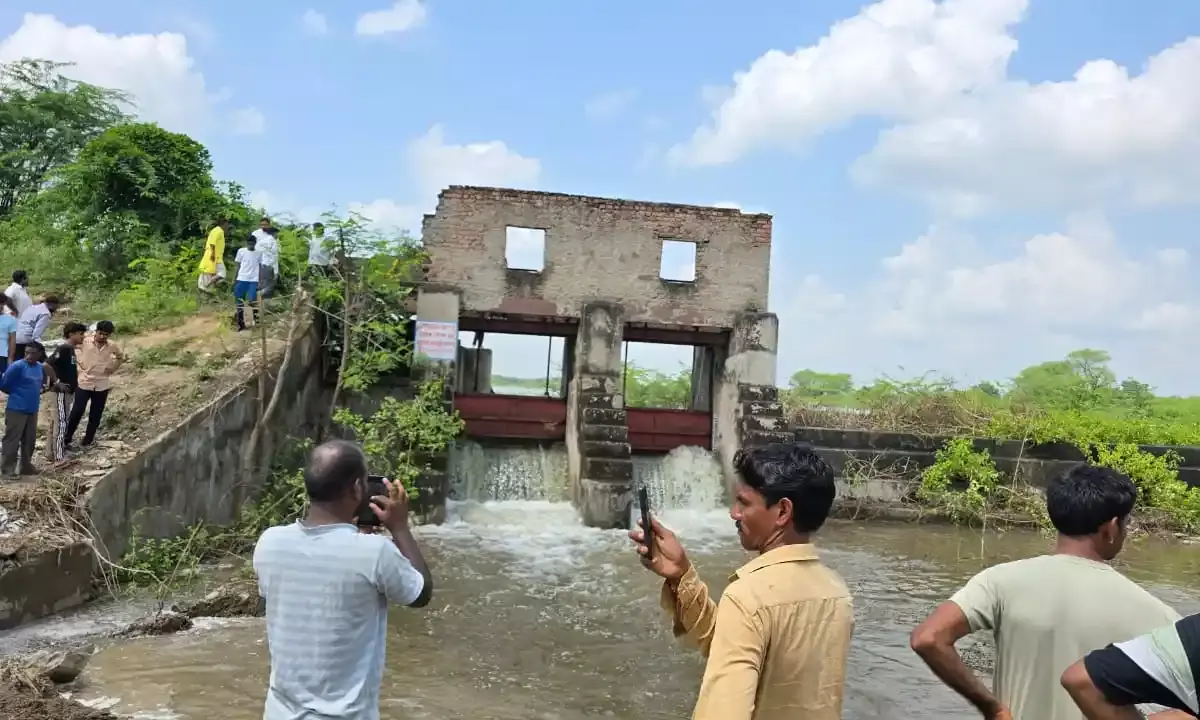 पूजा-अर्चना के बाद धमाणा तालाब का गेट खोला, कपासन तालाब में पानी की आवक शुरू, गूंजे सांवरियासेठ और रणछोड़नाथ के जयकारे