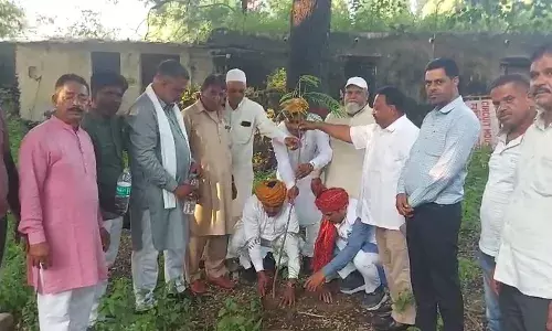 भीलवाड़ा में सेवा पखवाड़ा के तहत वृक्षारोपण