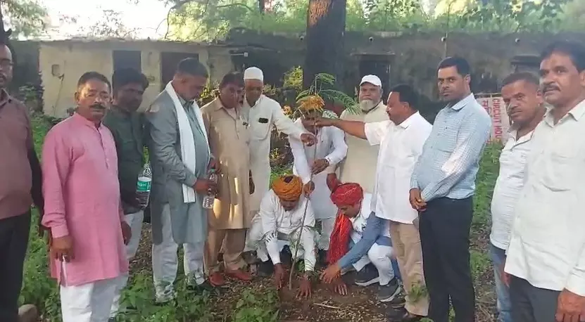 भीलवाड़ा में सेवा पखवाड़ा के तहत वृक्षारोपण भीलवाड़ा में सेवा पखवाड़ा के तहत वृक्षारोपण