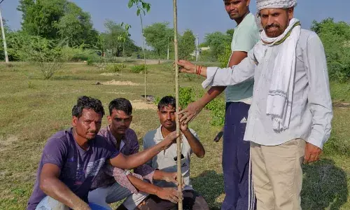 रिछड़ा विद्यालय और खेल मैदान में युवाओं ने पौधरोपण कर संरक्षण का लिया संकल्प
