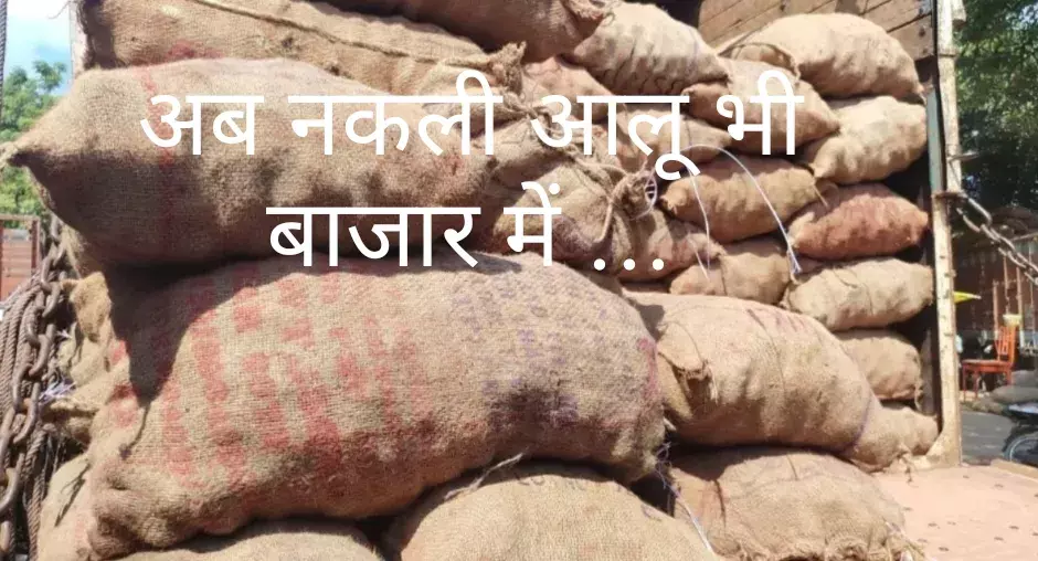सावधान! अब आलू भी नकली –मंडी से 500 क्विंटल रंगीन आलू जब्त सावधान! अब आलू भी नकली –मंडी से 500 क्विंटल रंगीन आलू जब्त
