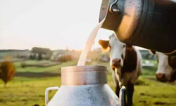 वैश्विक दूध उत्पादन में शीर्ष स्थान पर भारत, प्रोडक्शन करीब 240 मिलियन टन पहुंचा