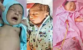 भीलवाड़ा, पाली के बाद अब बीकानेर में नवजात को फेंका,नवरात्र में झकझोर देने वाली घटनाओं से हर कोई सन्न,