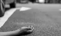 सडक़ हादसे में पिता की मौत, बेटा घायल, कृषि कार्य करते दो किसानों की गई जान