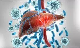 हर तीन में एक को है लीवर की गंभीर बीमारी, जानें शुरुआती लक्षण