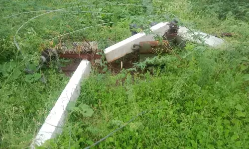 बिजली विभाग की अनदेखी से किसान की फसल पर संकट, दो महीने से ट्रांसफॉर्मर पोल गिरे पड़े हैं बिजली विभाग की अनदेखी से किसान की फसल पर संकट, दो महीने से ट्रांसफॉर्मर पोल गिरे पड़े हैं