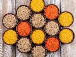 दाल उत्पादन में आत्मनिर्भर बनेगा भारत ,2031 तक 350 लाख टन का लक्ष्य, मंत्री शिवराज ने बताया रोडमैप