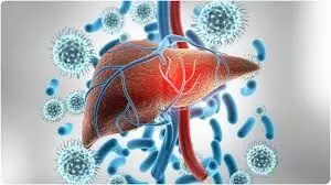 हर तीन में एक को है लीवर की गंभीर बीमारी, जानें शुरुआती लक्षण हर तीन में एक को है लीवर की गंभीर बीमारी, जानें शुरुआती लक्षण