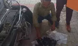 जोधपुर एनसीबी ने 50 लाख रुपए कीमत की अफीम के साथ तस्कर को पकड़ा, बाइक जब्त