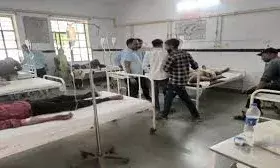 बालारडा गांव में ज्वारा विसर्जन जुलूस पर मधुमक्खियों का हमला, 90 घायल**