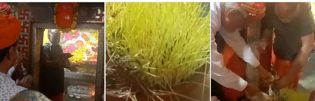 धनोप माता ज्वारा विसर्जन के साथ मेले का हुआ समापन