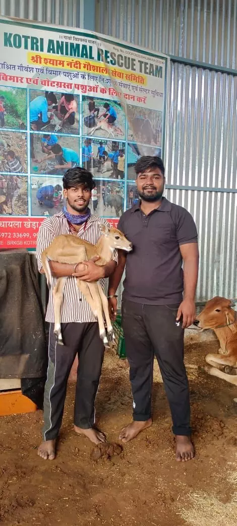 दो दिन के मासूम बछड़े की जान बचाई