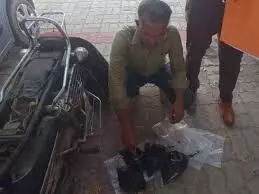 जोधपुर एनसीबी ने 50 लाख रुपए कीमत की अफीम के साथ तस्कर को पकड़ा, बाइक जब्त