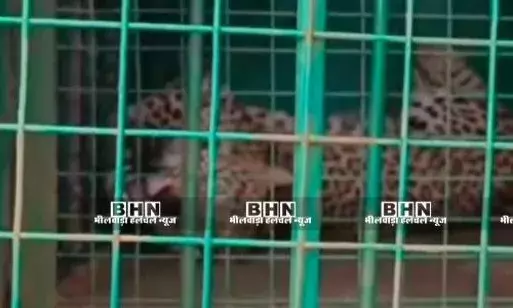 आतंक का पर्याय पैंथर पिंजरे में कैद, ग्रामीणों ने ली राहत की सांस