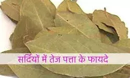 सर्दियों में पानी में तेजपत्ता उबालकर पीने से क्या होता है?