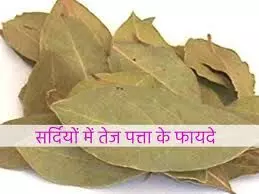 सर्दियों में पानी में तेजपत्ता उबालकर पीने से क्या होता है?