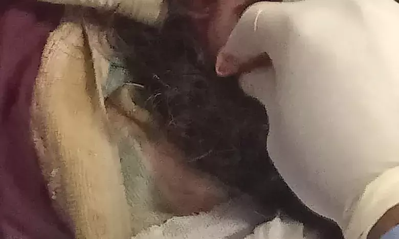 अधिवक्ता की मां पर किया जानलेवा हमल्ला डबल इंजन की सरकार में आदिवासियों की महिलाए सुरक्षित नहीं हैं