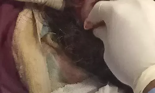 अधिवक्ता की मां पर किया जानलेवा हमल्ला डबल इंजन की सरकार में आदिवासियों की महिलाए सुरक्षित नहीं हैं अधिवक्ता की मां पर किया जानलेवा हमल्ला डबल इंजन की सरकार में आदिवासियों की महिलाए सुरक्षित नहीं हैं