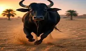 खुली जेल  के कैदी की  आवारा सांड की ने ली जान