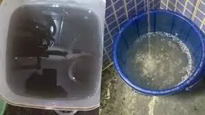 टूटी पाइपलाइन, नालों की बदबू और लापरवाह सिस्टम से लोग बीमार — हर घर बना कुंडी का जाल टूटी पाइपलाइन, नालों की बदबू और लापरवाह सिस्टम से लोग बीमार — हर घर बना कुंडी का जाल