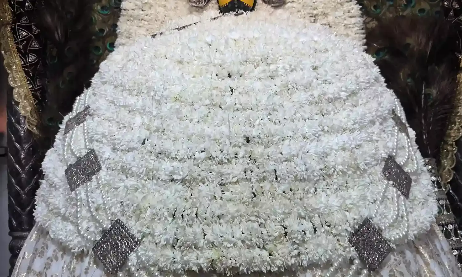 शरद पूर्णिमा पर हुआ श्याम महोत्सव शरद पूर्णिमा पर हुआ श्याम महोत्सव