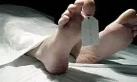 फसल में कीटनाशक दवा छिडक़ते अचेत हुये किसान की मौत