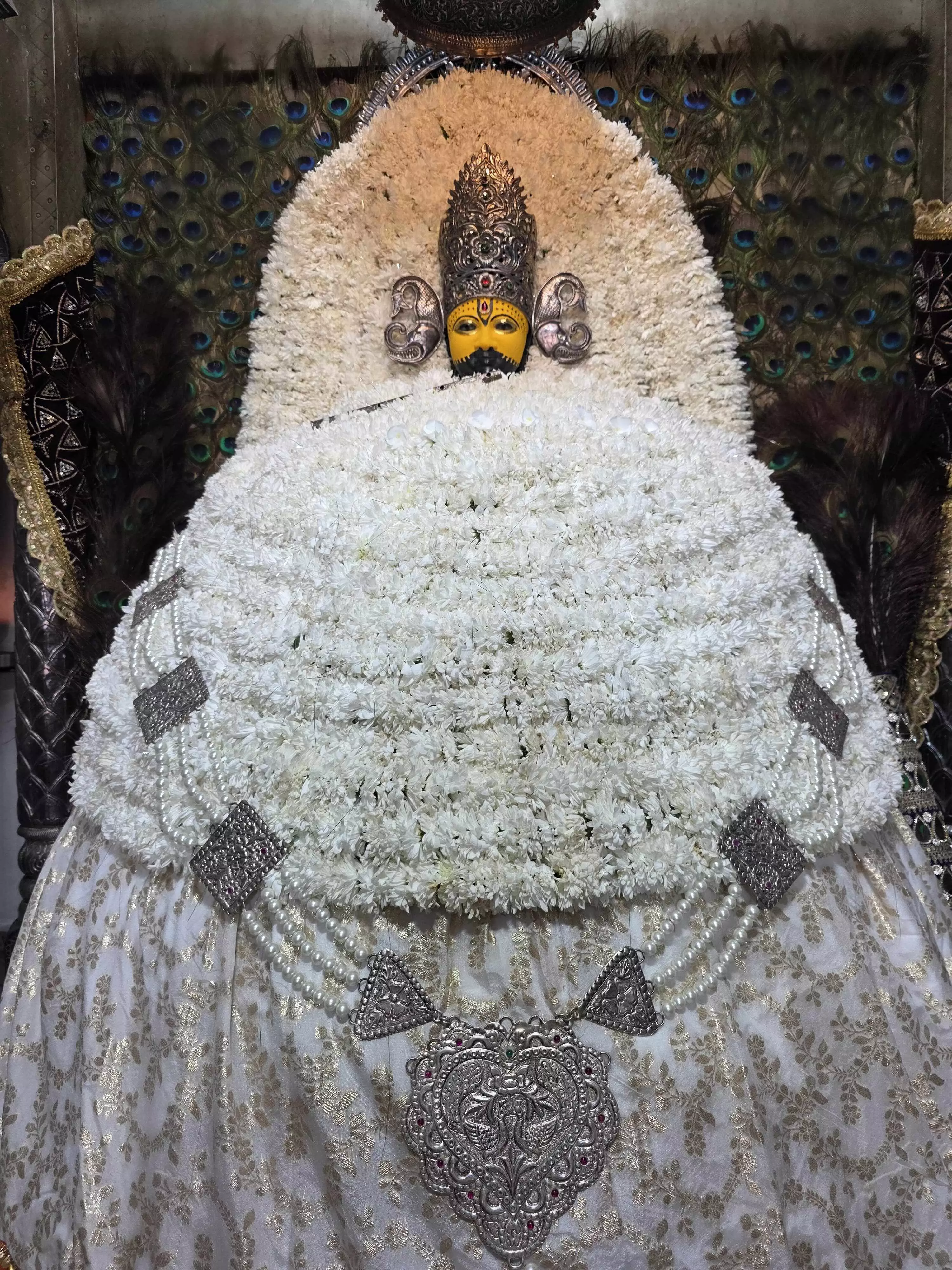 शरद पूर्णिमा पर हुआ  श्याम महोत्सव