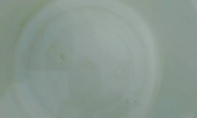 पांसल रोड पर पानी की सप्लाई में आए कीड़े, लोगों में नाराजगी