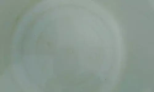 पांसल रोड पर पानी की सप्लाई में आए कीड़े, लोगों में नाराजगी