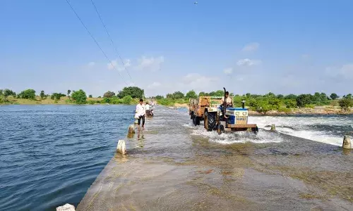 बनास नदी उफान पर, सोलंकिया का खेड़ा-महेशपुरा पुलिया पर चढ़ा पानी