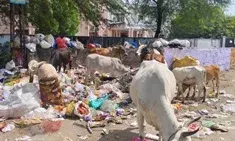 महिला आईटीआई के गेट के पास बने कचरा पात्र को हटाया जाए