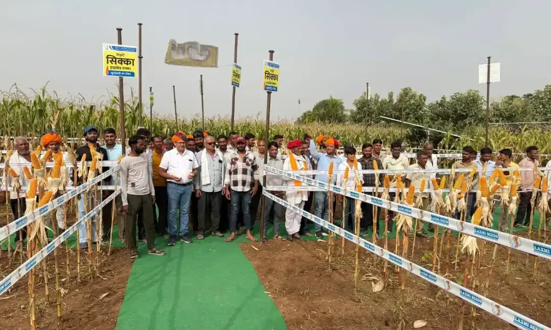 रायला में किसान बैठक: एग्री साइंसेज कंपनी ने नई फसलों की जानकारी दी