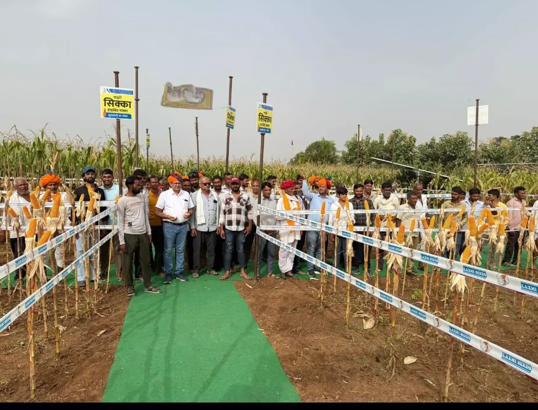 रायला में किसान बैठक: एग्री साइंसेज कंपनी ने नई फसलों की जानकारी दी